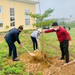 Trường Cao đẳng Luật miền Trung tổ chức tết trồng cây xuân Nhâm Dần năm 2022