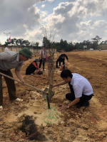 Lễ phát động “Tết trồng cây đời đời nhớ ơn Bác Hồ” Xuân Kỷ Hợi năm 2019